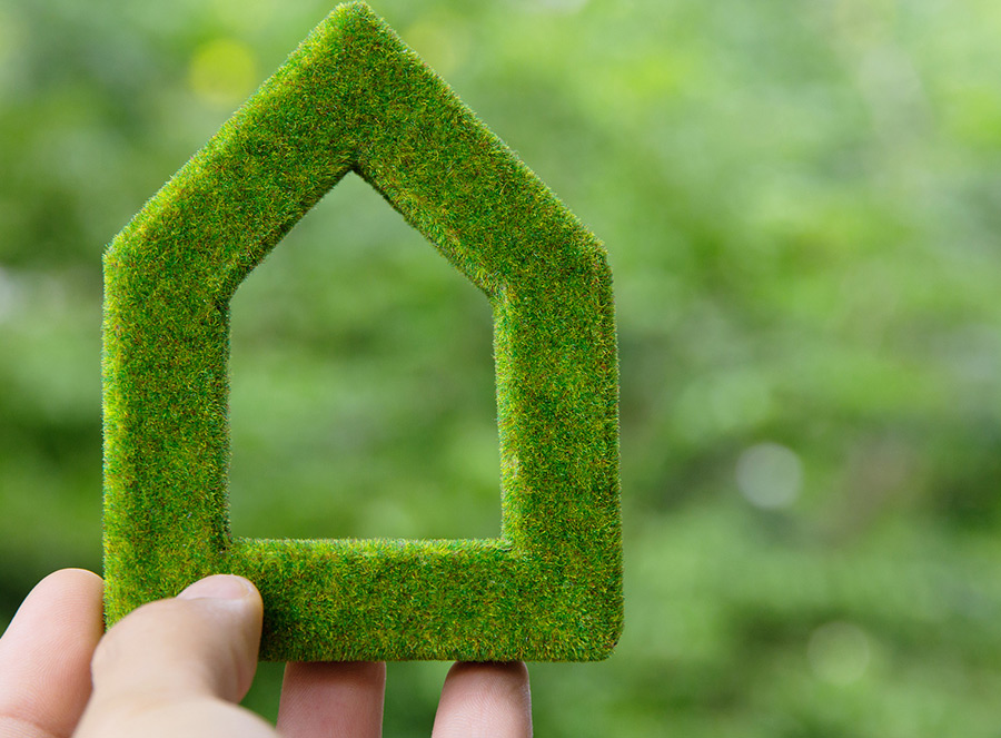 Opportunities Under the Green Building Wave, Easy Soup Trade Actively Expands Low-Carbon Material Sourcing Channels